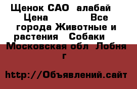 Щенок САО (алабай) › Цена ­ 10 000 - Все города Животные и растения » Собаки   . Московская обл.,Лобня г.